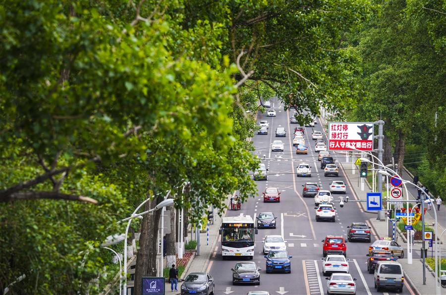 （環(huán)境）（4）長春：城市&ldquo;綠妝&rdquo;