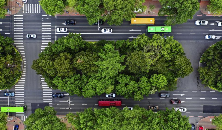 （環(huán)境）（6）長春：城市&ldquo;綠妝&rdquo;