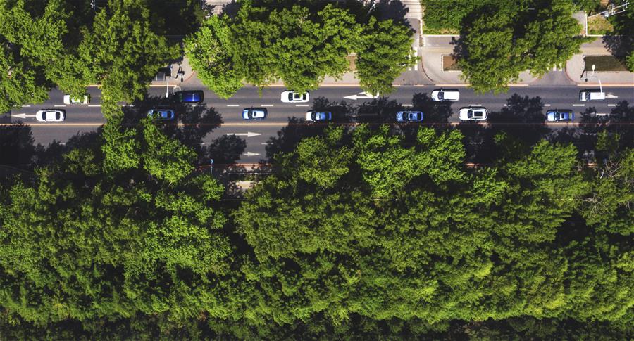 （環(huán)境）（5）長春：城市&ldquo;綠妝&rdquo;